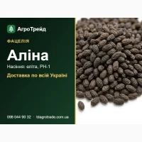 Алінв - фвцелія, нвсіння елітв, РН-1 3 д0кументвми