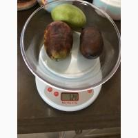 Азимина (банановое дерево) + подарок