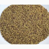 Продам насіння конюшини червоної 20 т