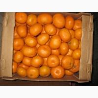 Продам мандарины грузинские сладкие