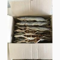 Продам вялену щуку оптом