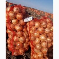 Продам лук товарный высшего качества