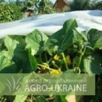 Агроволокно «Спанбонд»