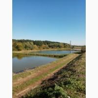 Продам ставок, озеро, водойом, пруд, землі водного фонду