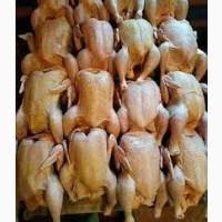 Домашнее мясо, курица, индейка