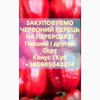 Купуємо перець