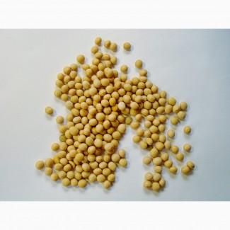 Куплю сою. Будь-які обʼєми