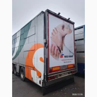 Продам поросята 20-26 кг