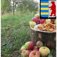 Яблочный уксус для масок и ухода за волосами