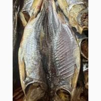 Продам вяленную рыбу опт