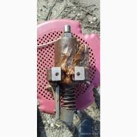 Тнвд на двигатель 8nvd 36/24(плунжер 20мм)в Одесса, Николаев, Черноморск, Измаил, Николаев