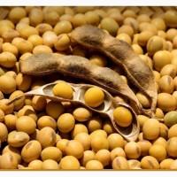 Закуповуємо сою гмо