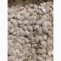 Насіння гарбуза врожаю 2025 року