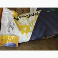 Продам насіння Соняшнику Пегас (Clearfield), преміум, 2024 року- 4400 грн, Дніпро