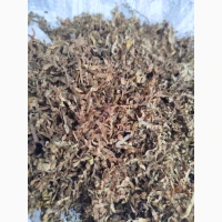 Гарний і якісний тютюн