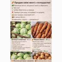 Капуста оптом/морква/буряк/цибуля