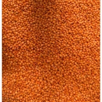 Продам сочевицю червону шліфовану