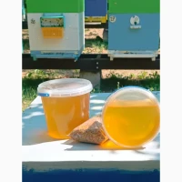 Продам дуже смачний мед акація з травами