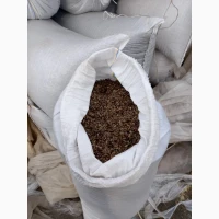 Продам насіння кавуна та дині
