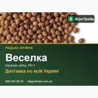 С0рт08е нвсіння 0лійн0ї редьки 8еселкв