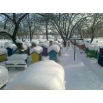 Продам пасеку