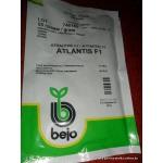 Продам фирменные качественные семена овощей - недорого, Bejo, Vilmorin, Никерсон цваан