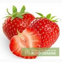 Продам раннюю клубнику