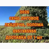 Продам луговое сено и люцерну в тюках. Привоз на дом / на ферму