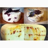 Продам домашние козьи сыры собственного производства (косичка и моцарела)