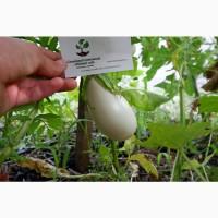 Баклажан белый семена (20 шт), насіння + инструкция + подарок