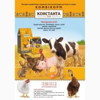 Комбикорма от производителя