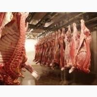 Мясо свинины Одесса купить