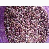 УВАГА!!! РОЗПРОДАЖ Посівний матеріал ВОЗДУШКА (повітряна кулька) ЛЮБАША, ДЮШЕС