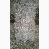 Продам просяную солому в тюках