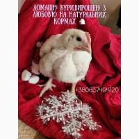 Тушка бройлера