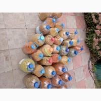 Продам пыльцу пчелиную