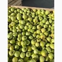 Продам Голден Делішес 65