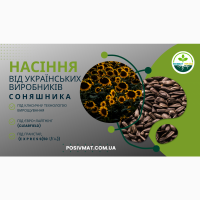 Урбан OR7+ (105-110 дн.) під гранстар 50 гр/га