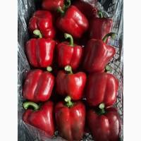 Продам перец куб красный и желтый
