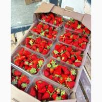 Продам клубнику оптом вкусный