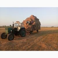 Продам сіно вперемішку з соломою в тюках