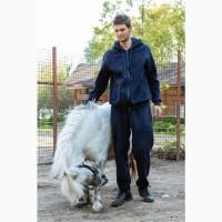 Продам пони лошадь