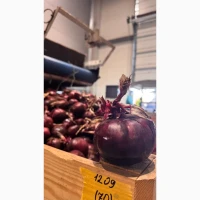 Продам цибуля червона Марс