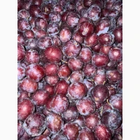 Активний продаж сливи з/к
