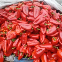 Продам перець