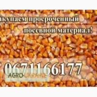 Куплю семена без всхожести