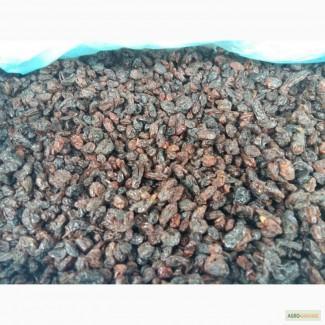 Изюм Пакинстанский (оптом)