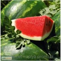 Продам семена арбуза