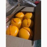 Продам сырный продут с грецким орехом