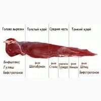 Продам филейное мясо говядины